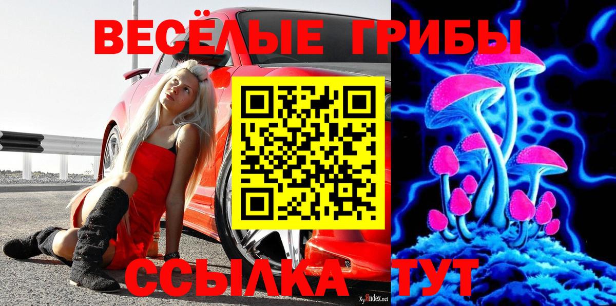Галлюциногенные грибы ЛСД Кандалакша